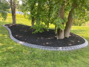 20230621 162719000 iOS