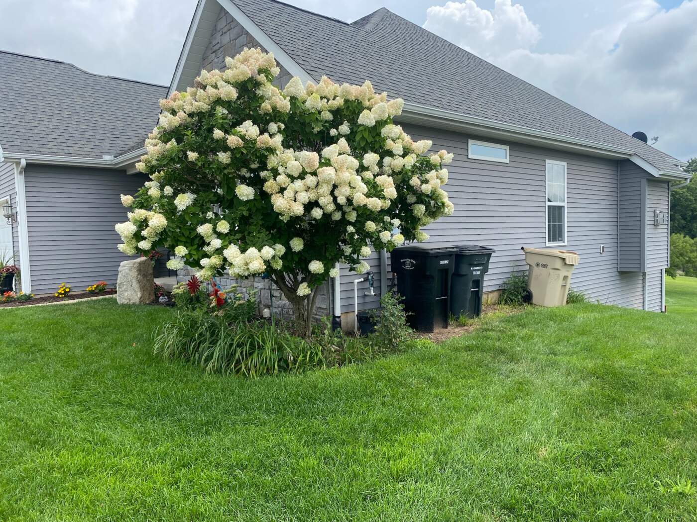 20240802 163735000 iOS